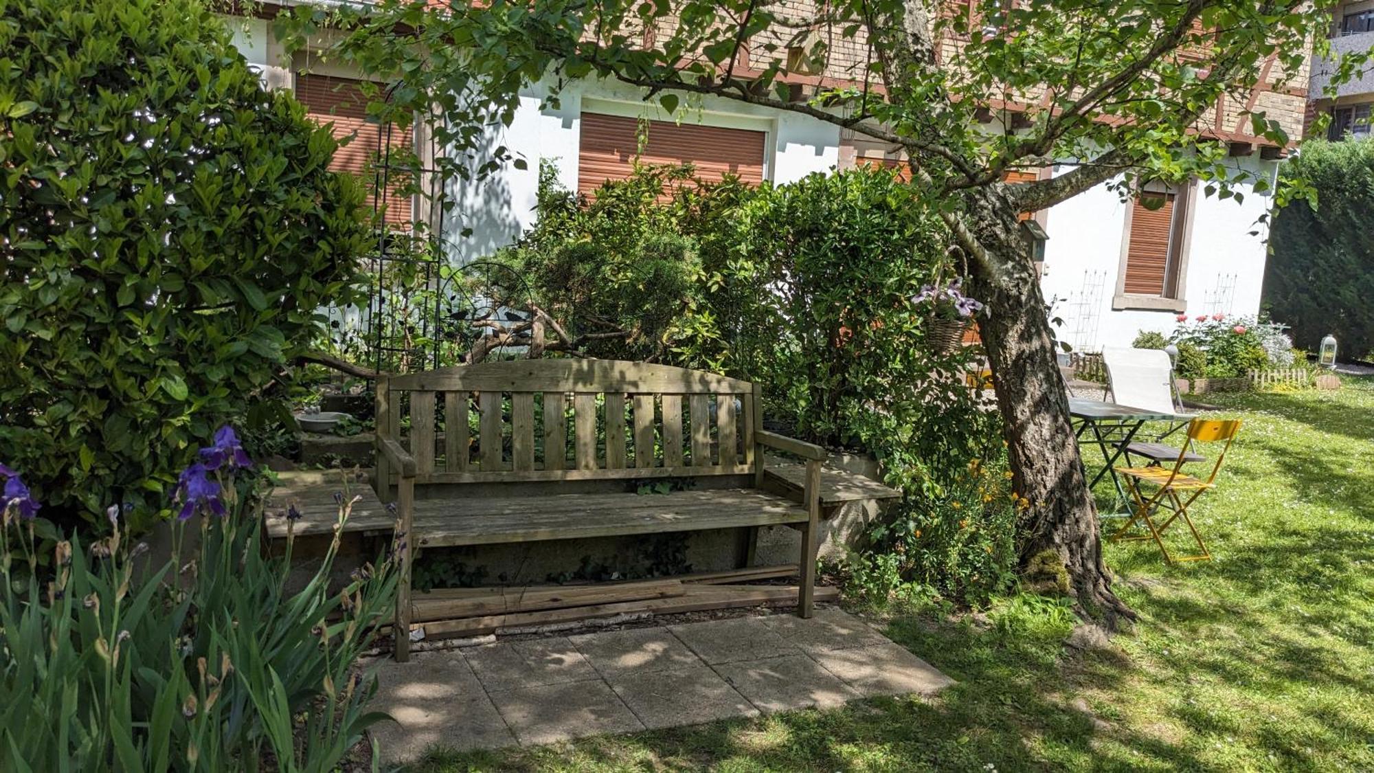 Apartmán Le Petit Parc Colmar Exteriér fotografie