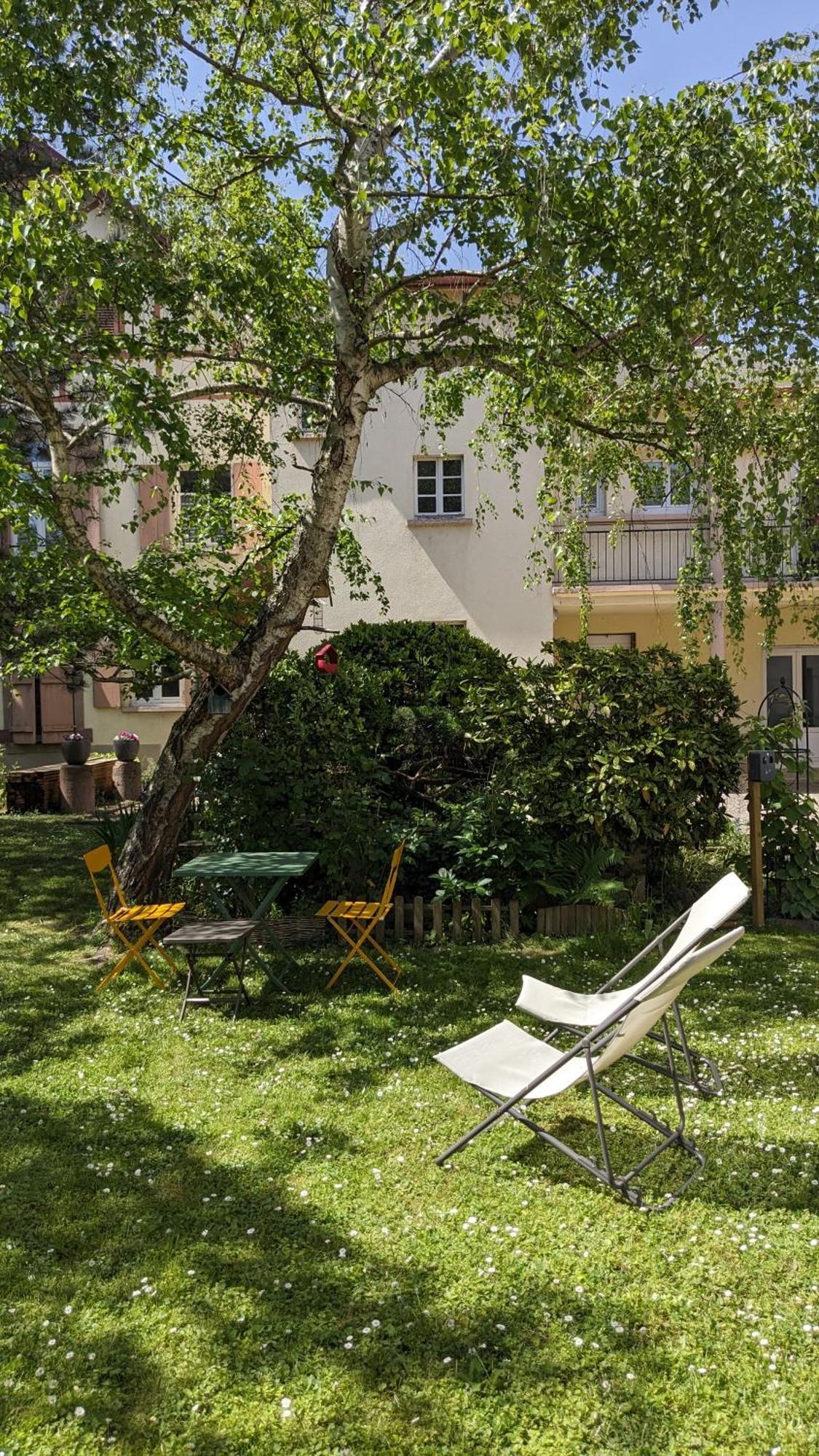 Apartmán Le Petit Parc Colmar Pokoj fotografie